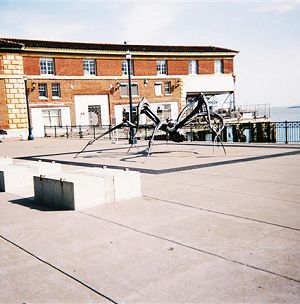 outdoor spider sculpture