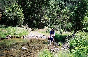 Crossing a stream pushing a jogger