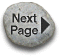 Next Page