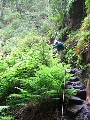Dinesh descending steep stone steps and using a fixed rope handrail