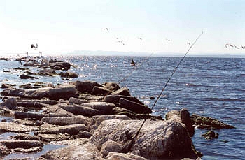 More unattended fishing lines